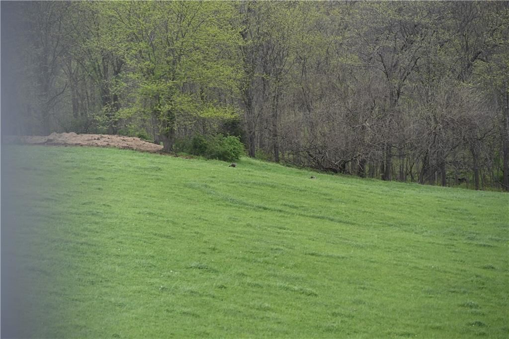 Hwy NN Highway — photo 12