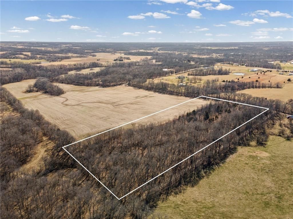 Lot 1 SW Brangus N/A — photo 2