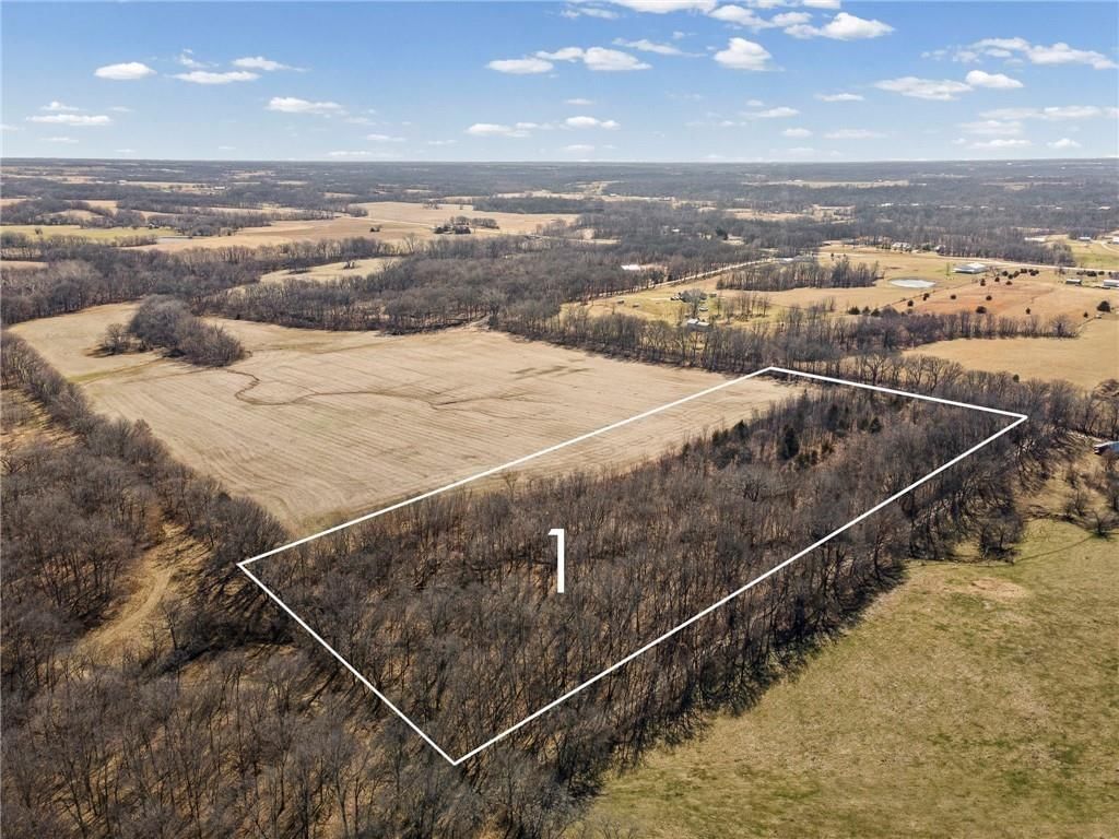 Lot 1 SW Brangus N/A — photo 3
