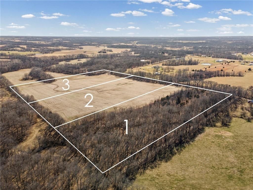 Lot 1 SW Brangus N/A — photo 6