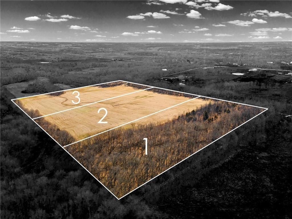 Lot 1 SW Brangus N/A — photo 7