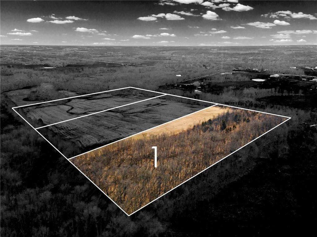 Lot 1 SW Brangus N/A — photo 9