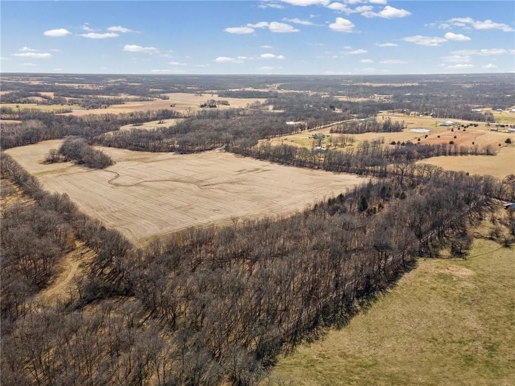 Lot 1 SW Brangus N/A — photo 10