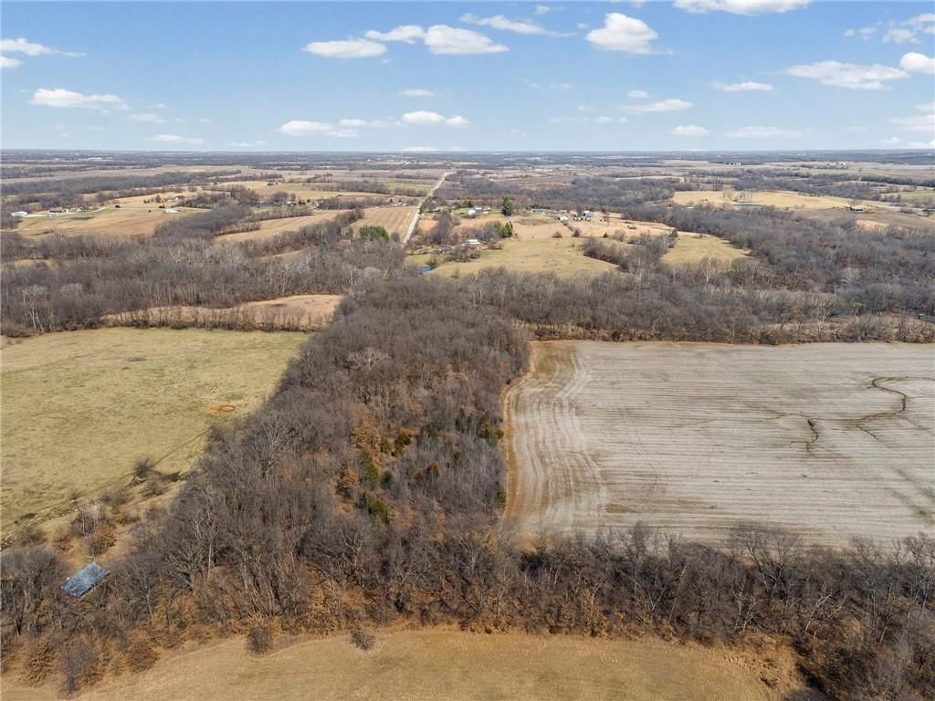 Lot 1 SW Brangus N/A — photo 13
