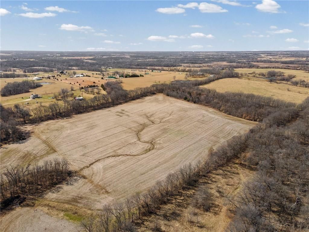 Lot 1 SW Brangus N/A — photo 18