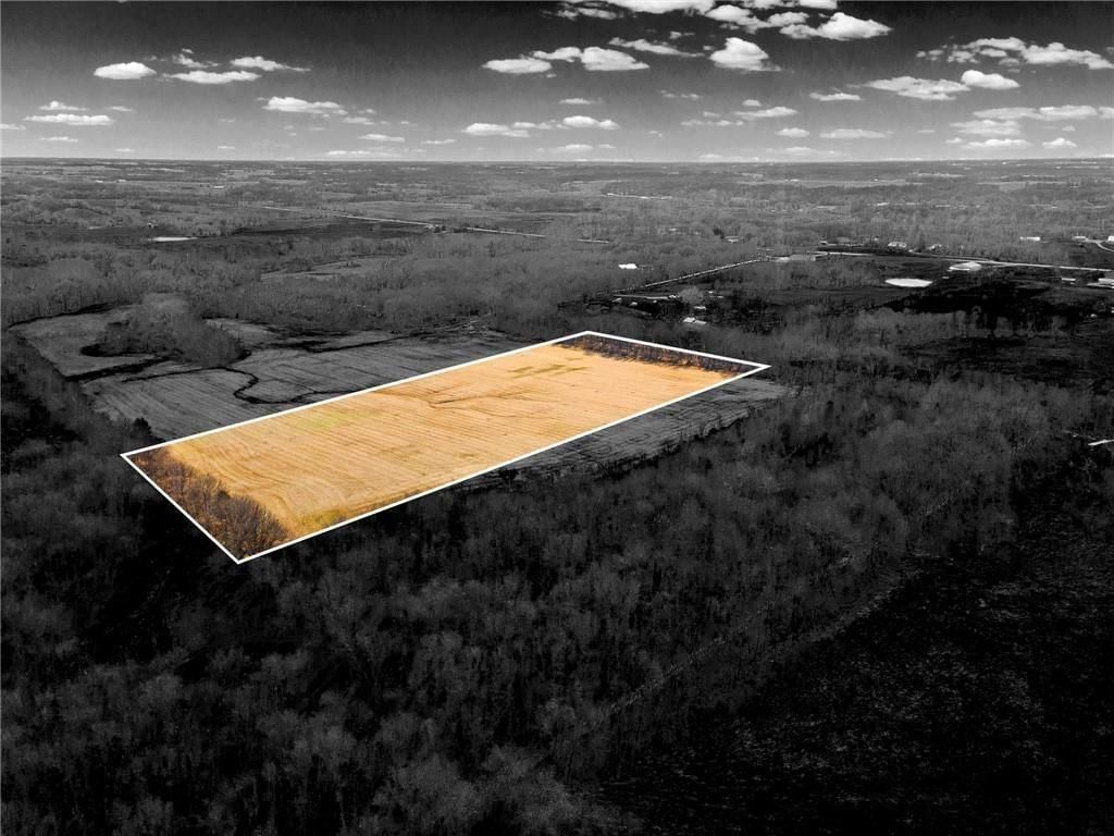 Lot 2 SW Brangus N/A — photo 3