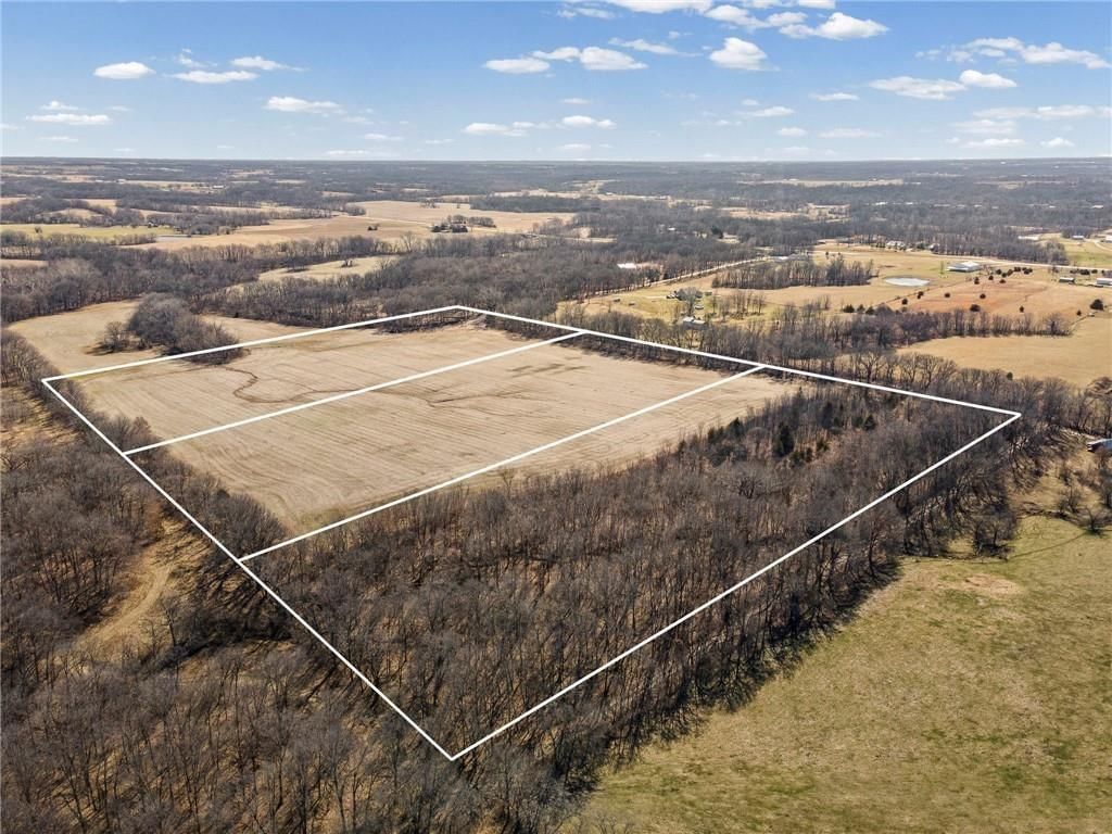 Lot 2 SW Brangus N/A — photo 4