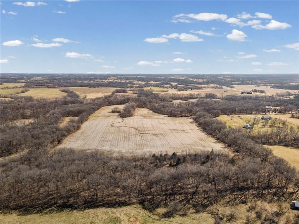 Lot 2 SW Brangus N/A — photo 9