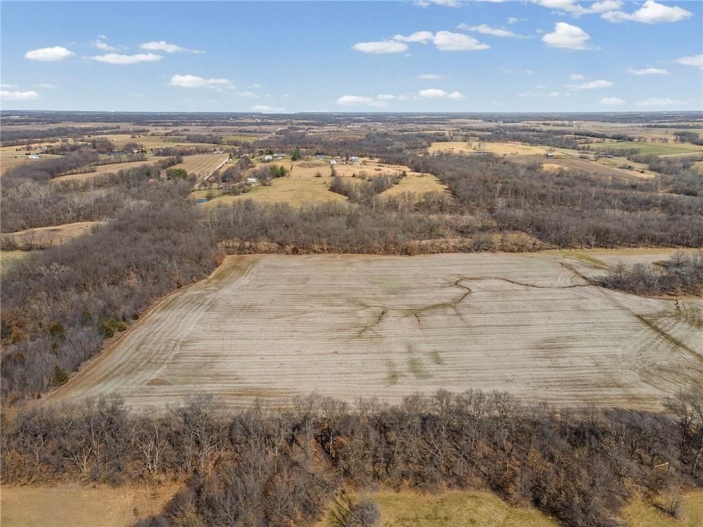 Lot 2 SW Brangus N/A — photo 12
