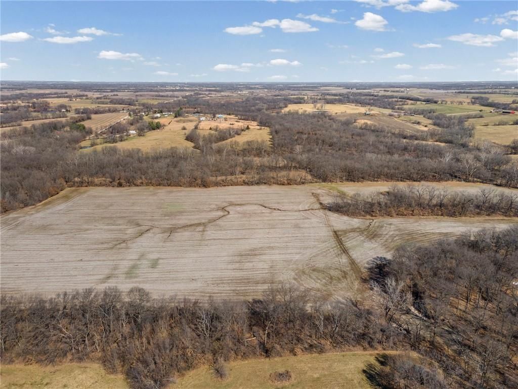 Lot 2 SW Brangus N/A — photo 13
