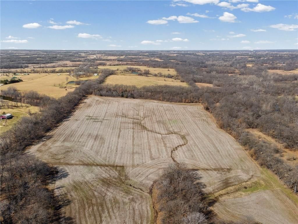 Lot 2 SW Brangus N/A — photo 15