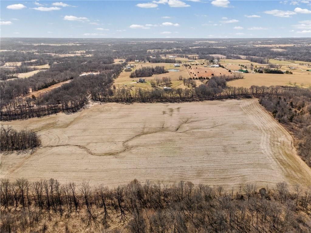 Lot 2 SW Brangus N/A — photo 18