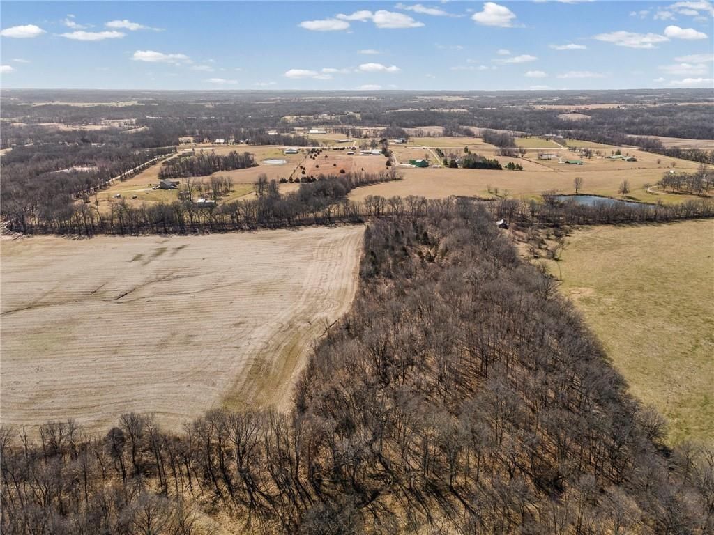 Lot 2 SW Brangus N/A — photo 19