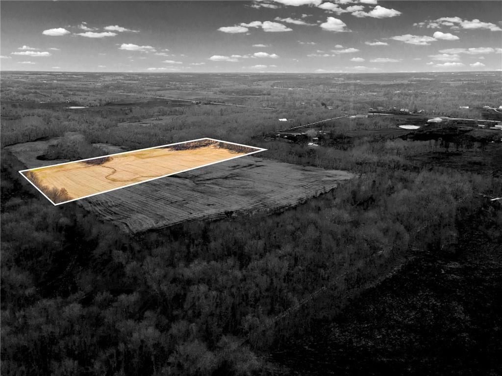 Lot 3 SW Brangus N/A — photo 3