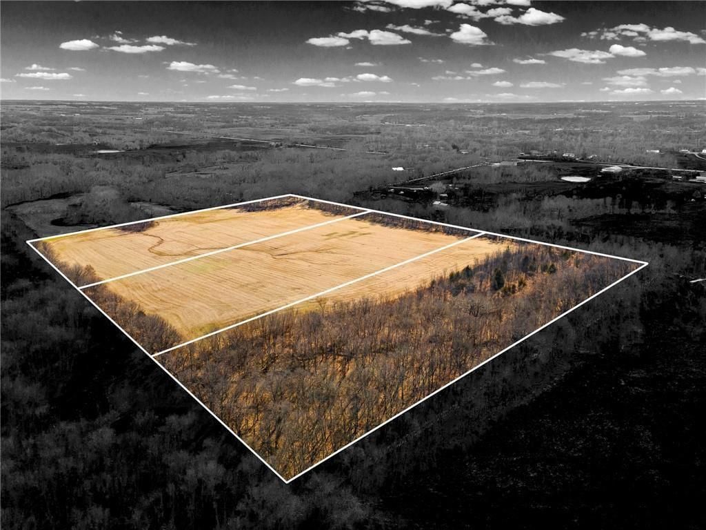 Lot 3 SW Brangus N/A — photo 5