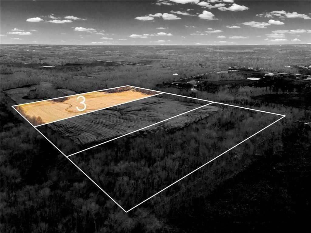 Lot 3 SW Brangus N/A — photo 9