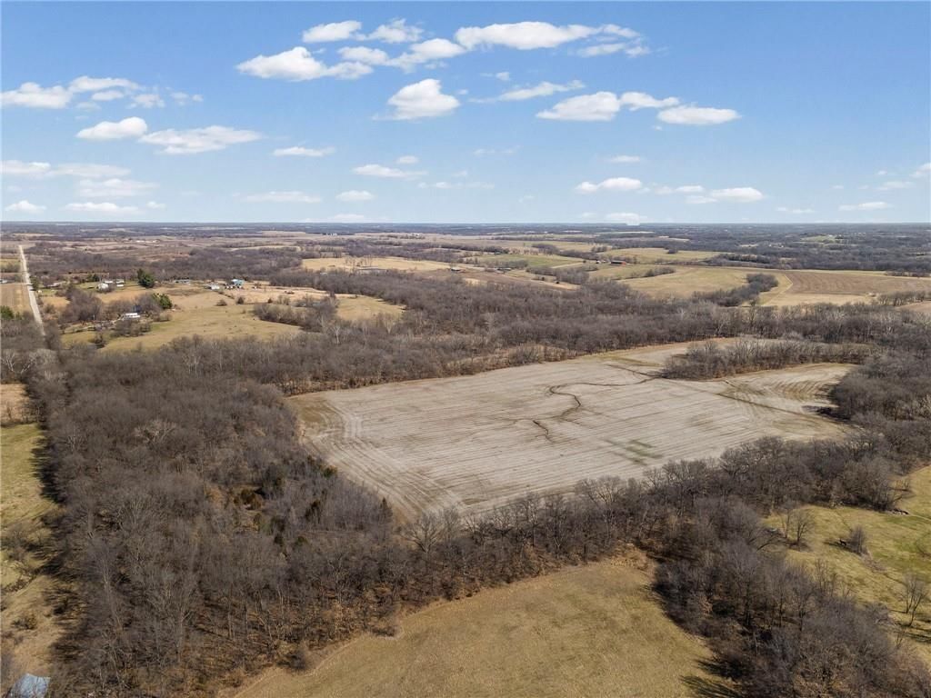 Lot 3 SW Brangus N/A — photo 12