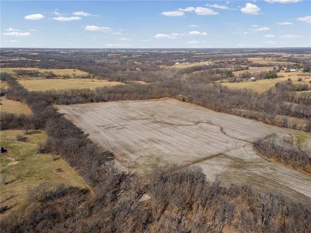 Lot 3 SW Brangus N/A — photo 16