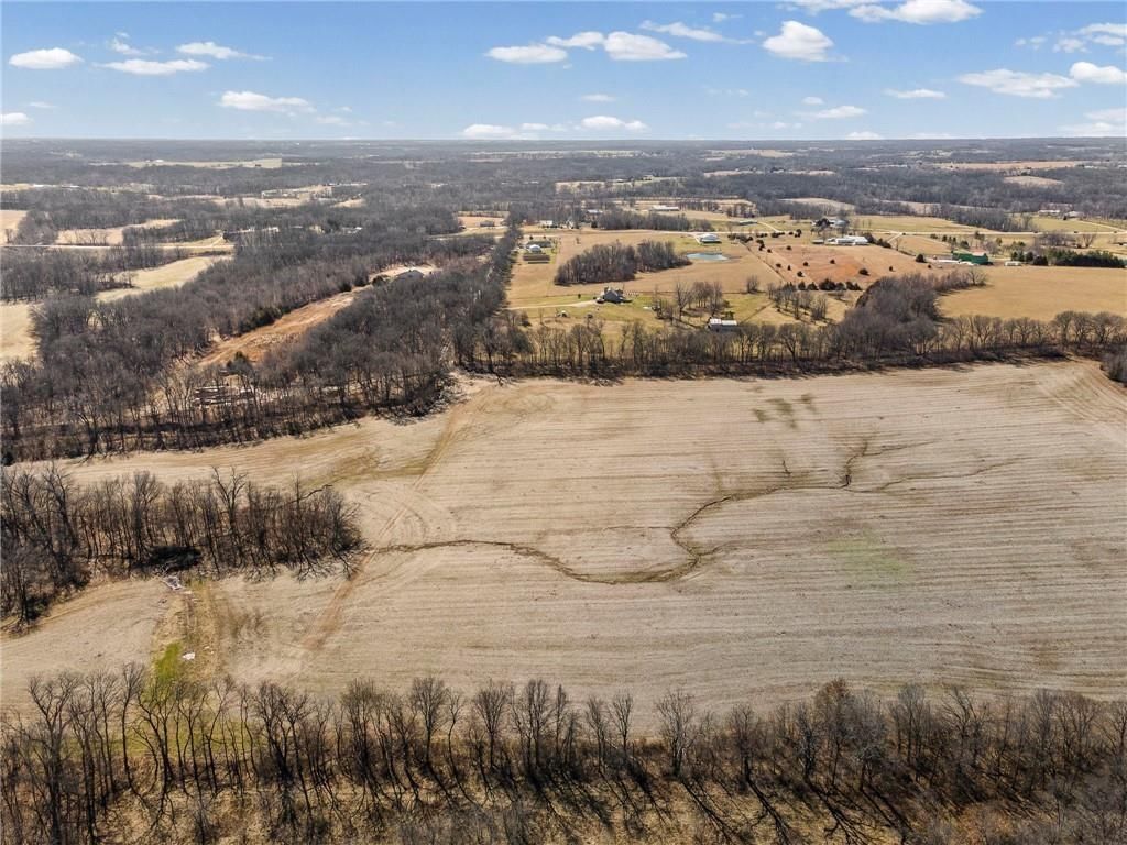 Lot 3 SW Brangus N/A — photo 19