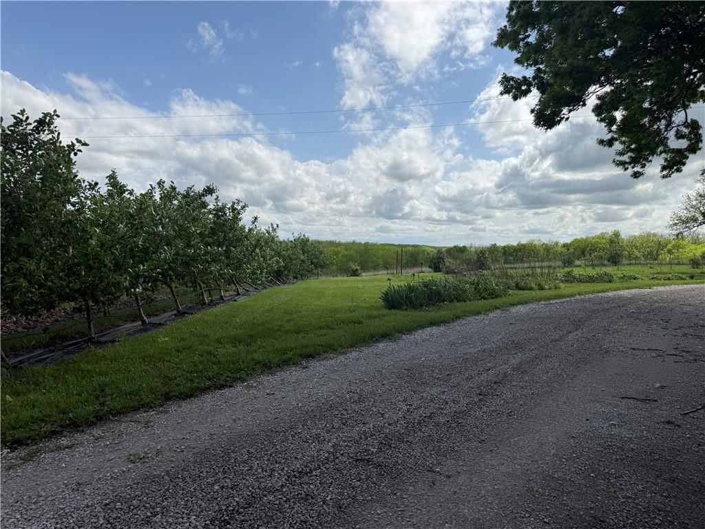 17190 Highway 13 Highway — photo 52
