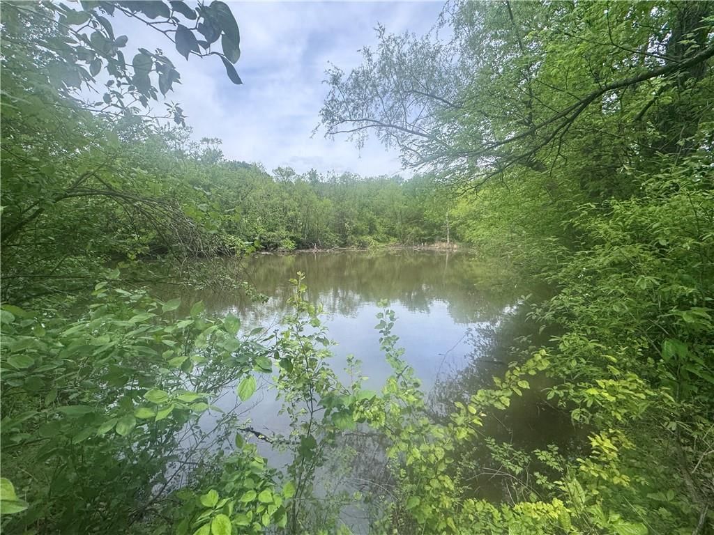 32506 E Stony Point School Road — photo 14