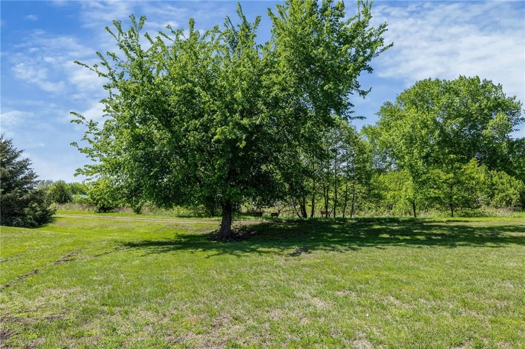 69 Porcupine Path — photo 46