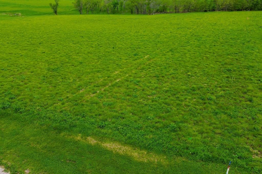 Lot 1A Timber Valley 203rd Street — photo 22
