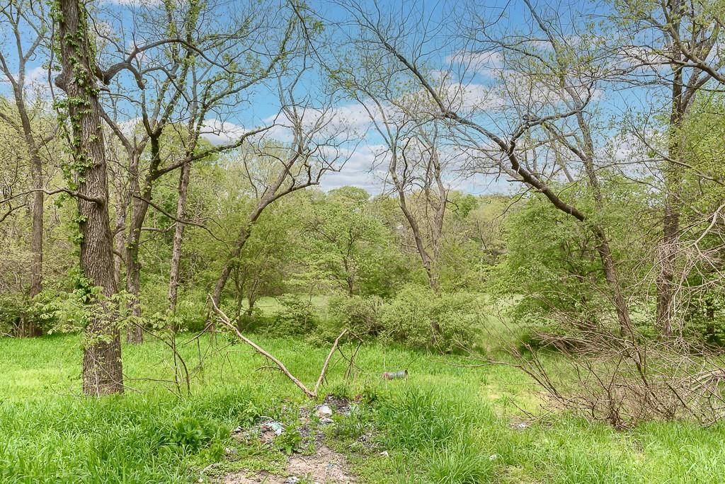 16716 Dempsey Road — photo 7
