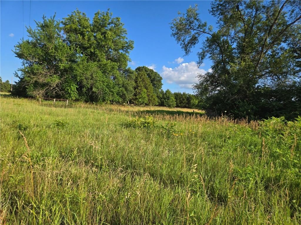 2635 Georgia Road — photo 5