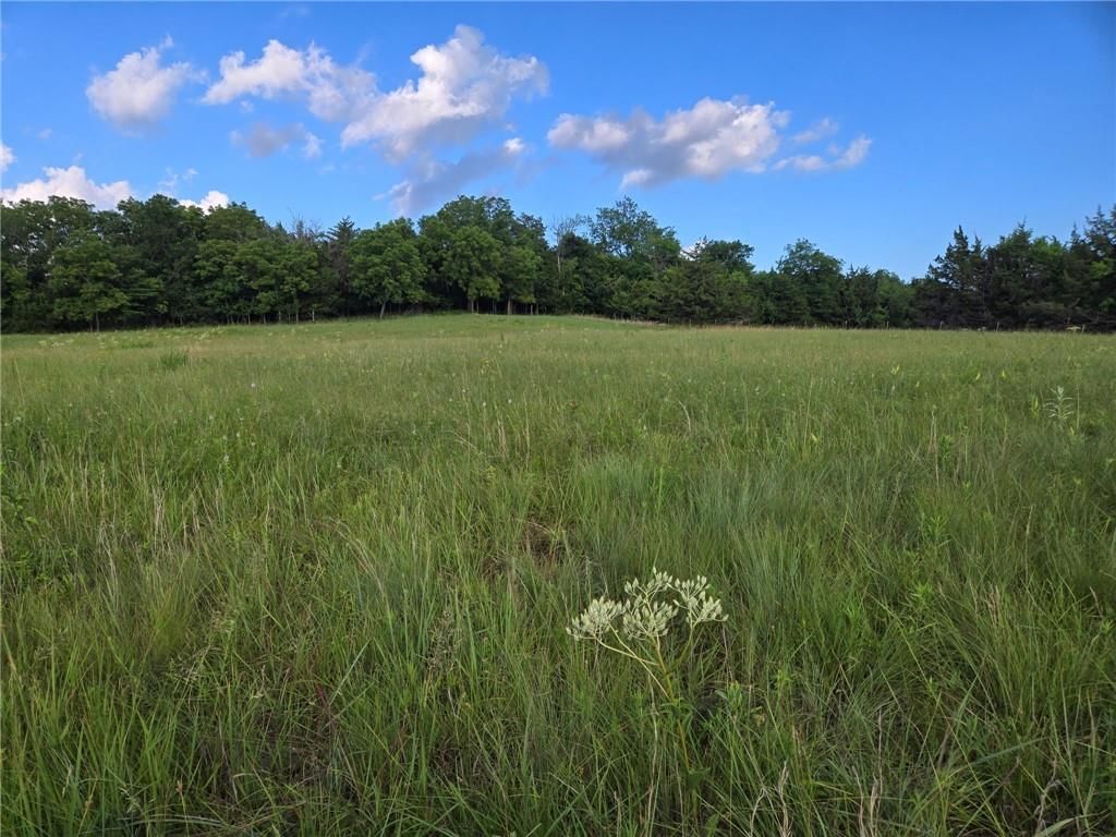 2635 Georgia Road — photo 10
