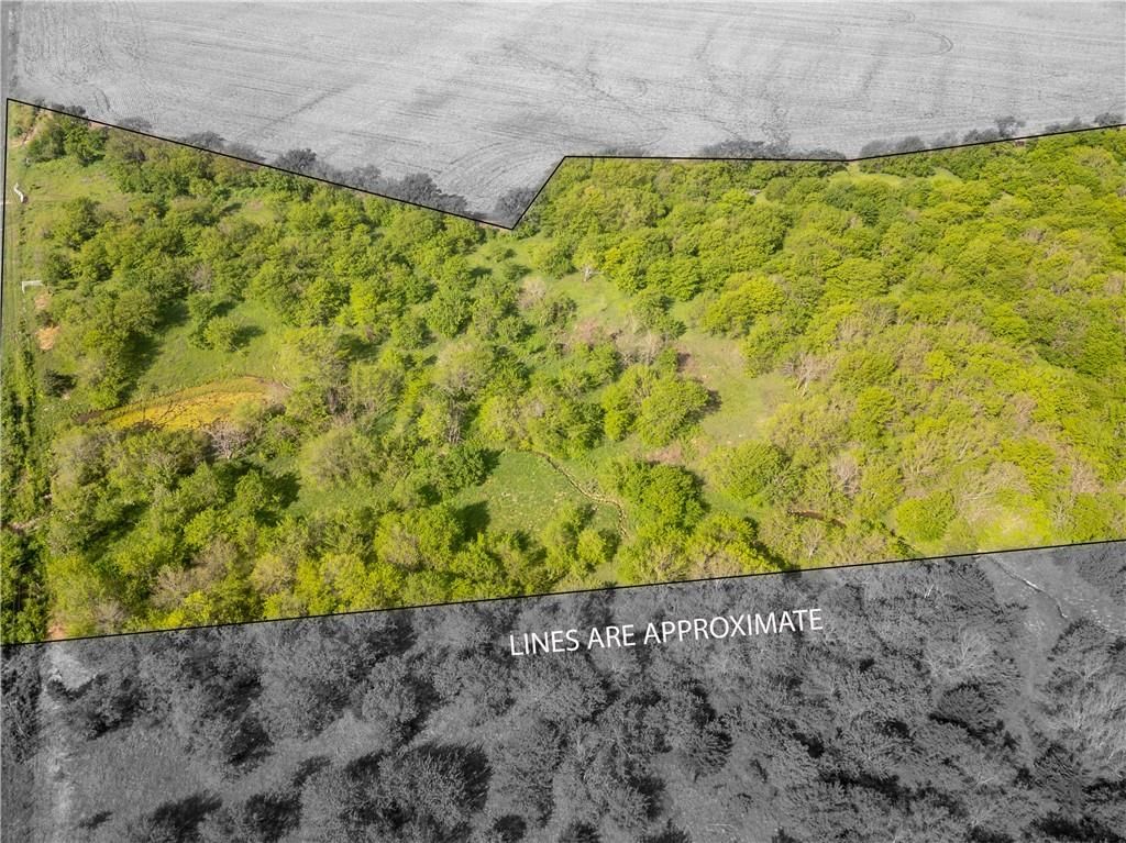 783A Old US 50 Road — photo 6