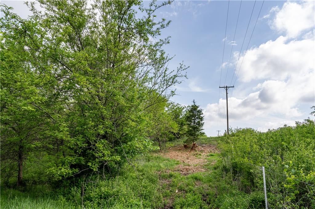 783A Old US 50 Road — photo 13