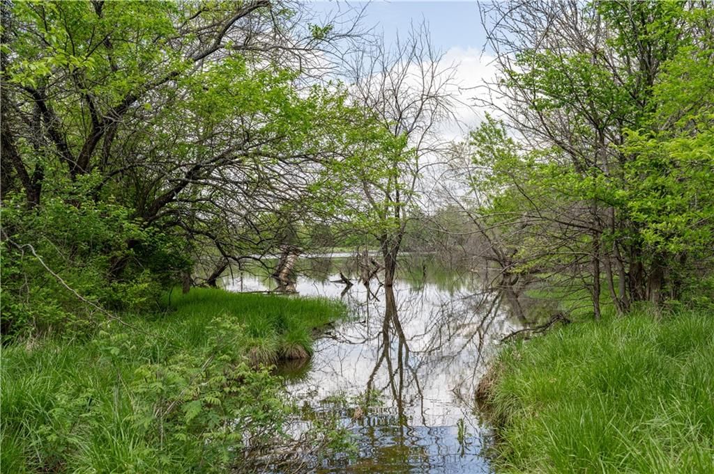 783B Old US 50 Road — photo 23