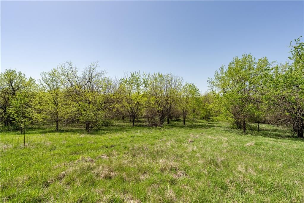 783B Old US 50 Road — photo 30