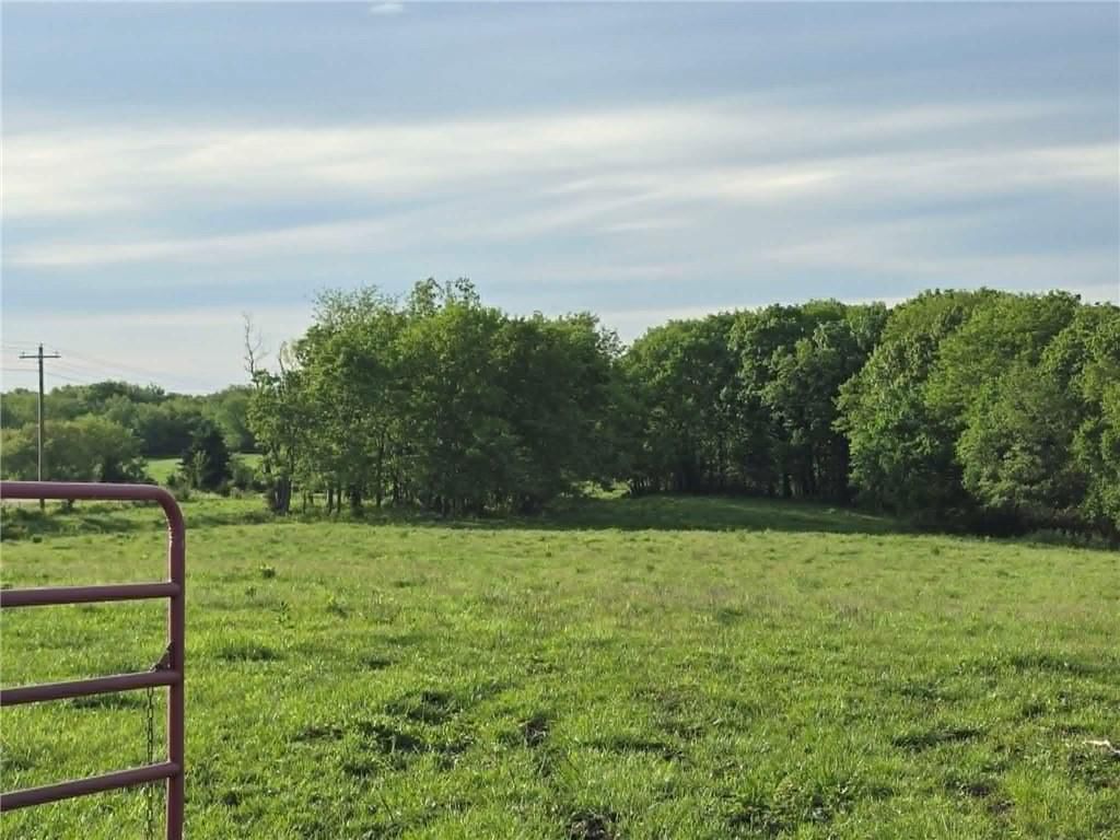 XXX 163.5 +/- Acres N Highway — photo 4