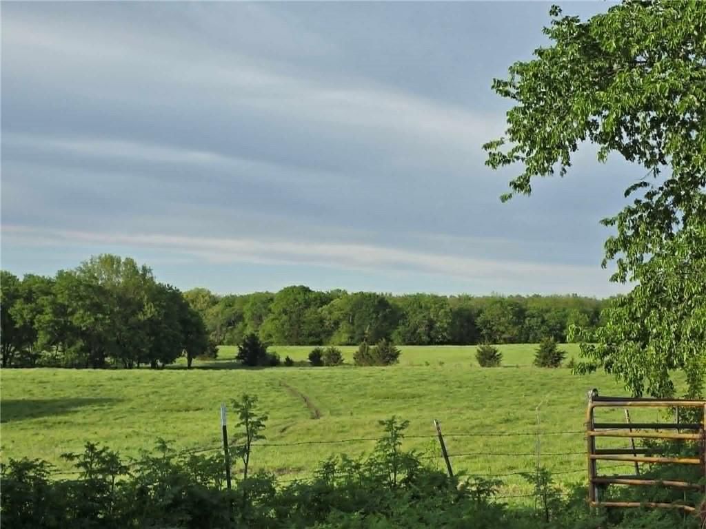 XXX 163.5 +/- Acres N Highway — photo 5