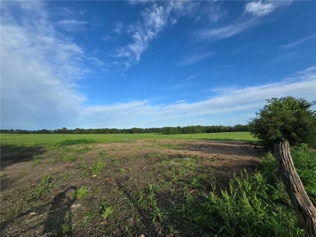 XXX 163.5 +/- Acres N Highway — photo 6