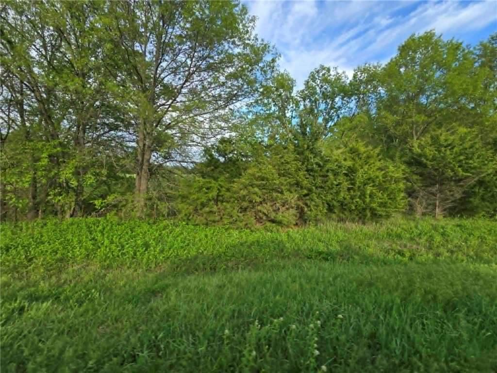 XXX 163.5 +/- Acres N Highway — photo 7