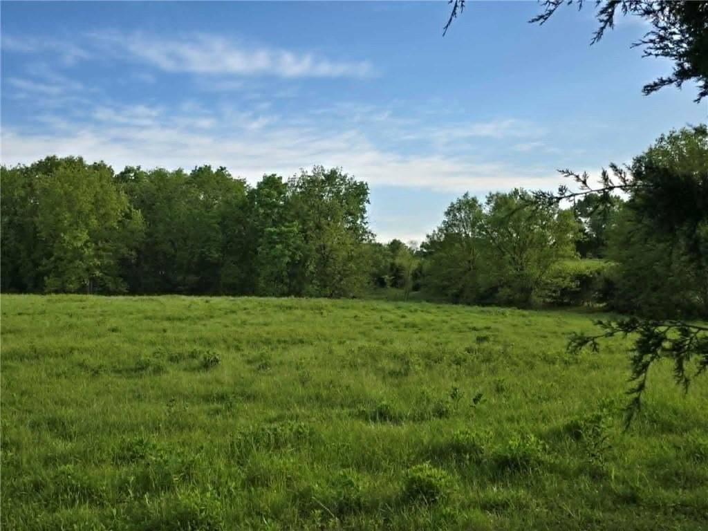 XXX 163.5 +/- Acres N Highway — photo 8