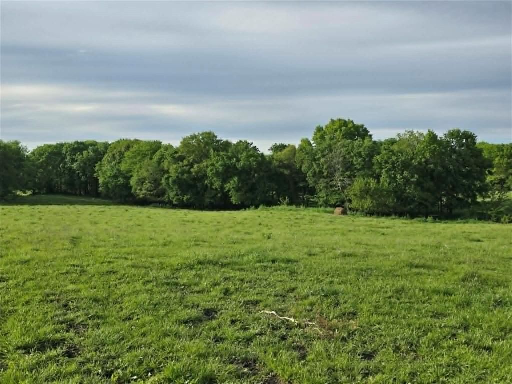 XXX 163.5 +/- Acres N Highway — photo 9