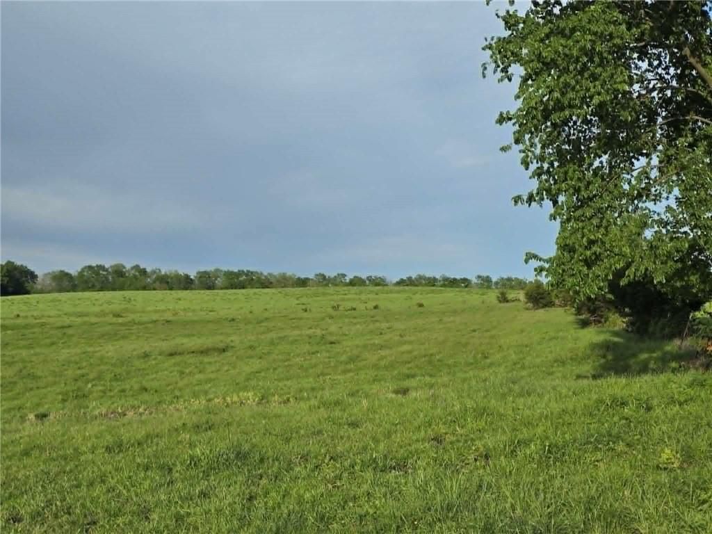 XXX 163.5 +/- Acres N Highway — photo 10