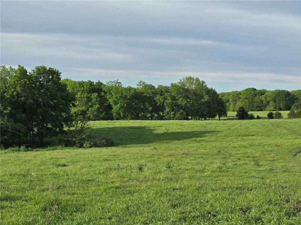 XXX 163.5 +/- Acres N Highway — photo 11
