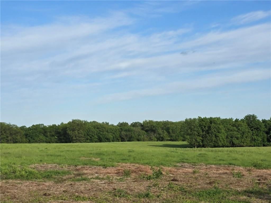 XXX 163.5 +/- Acres N Highway — photo 12