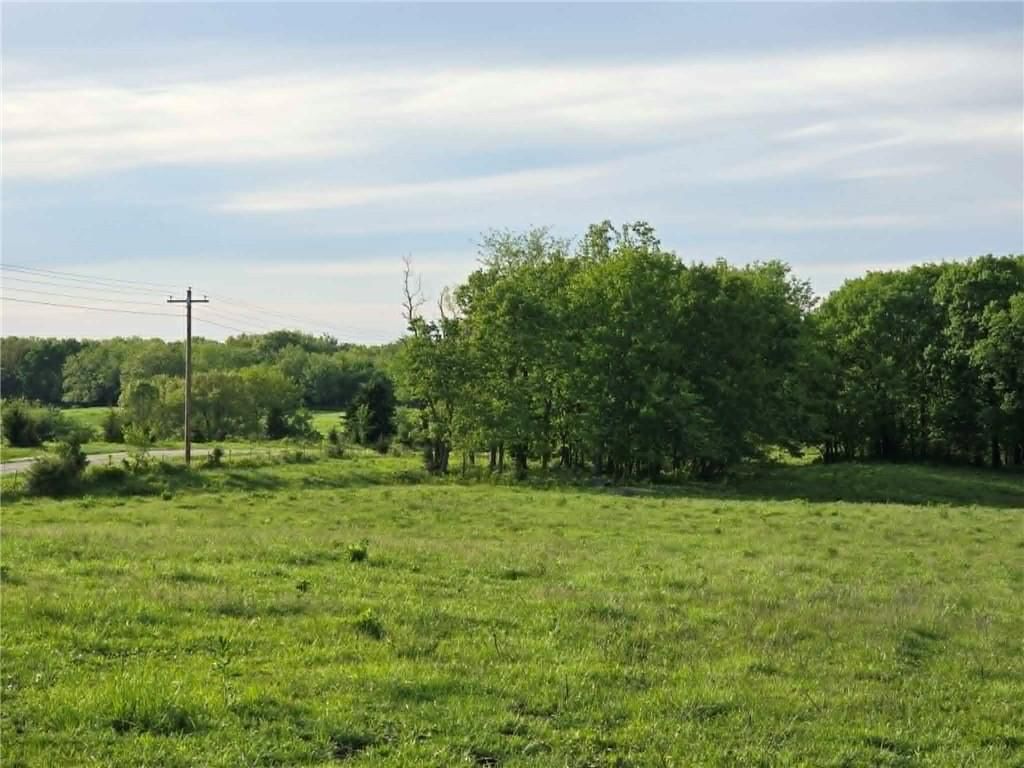 XXX 163.5 +/- Acres N Highway — photo 13