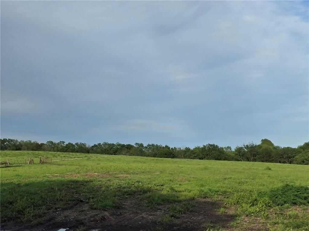 XXX 163.5 +/- Acres N Highway — photo 14