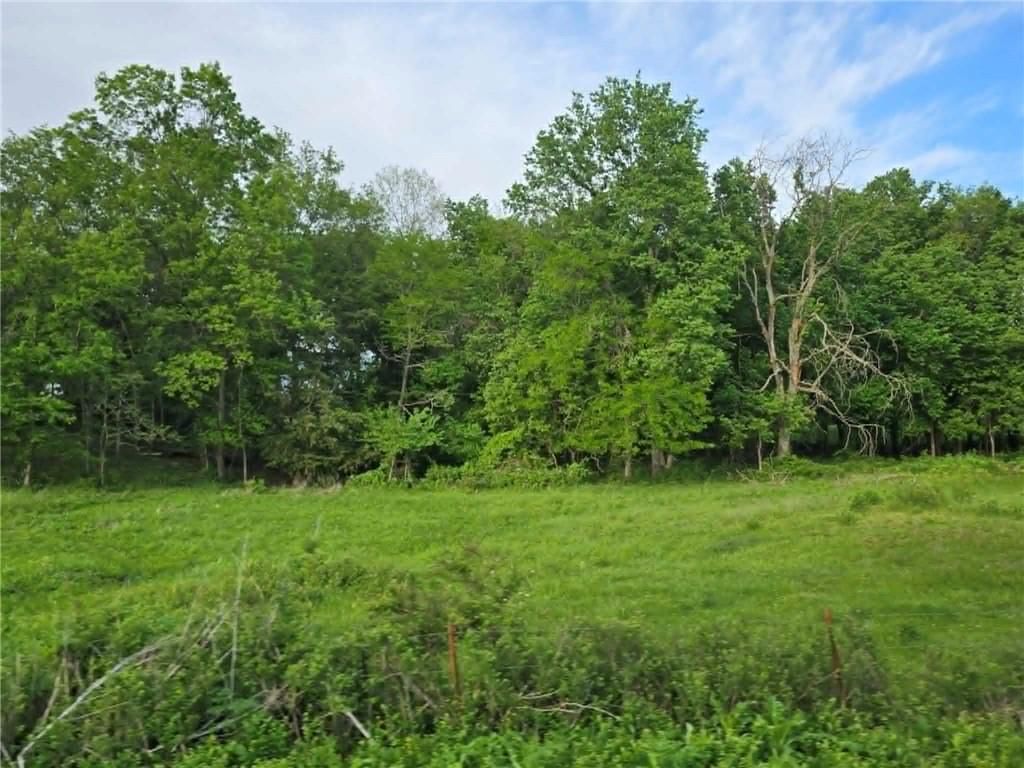 XXX 163.5 +/- Acres N Highway — photo 15
