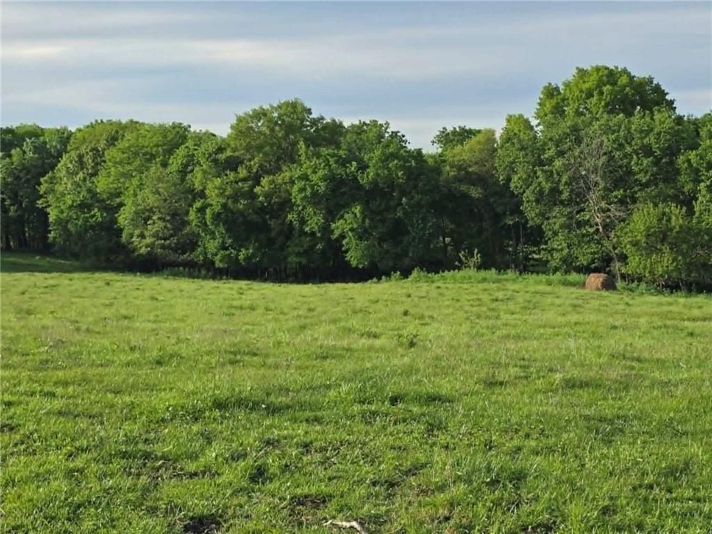 XXX 163.5 +/- Acres N Highway — photo 16
