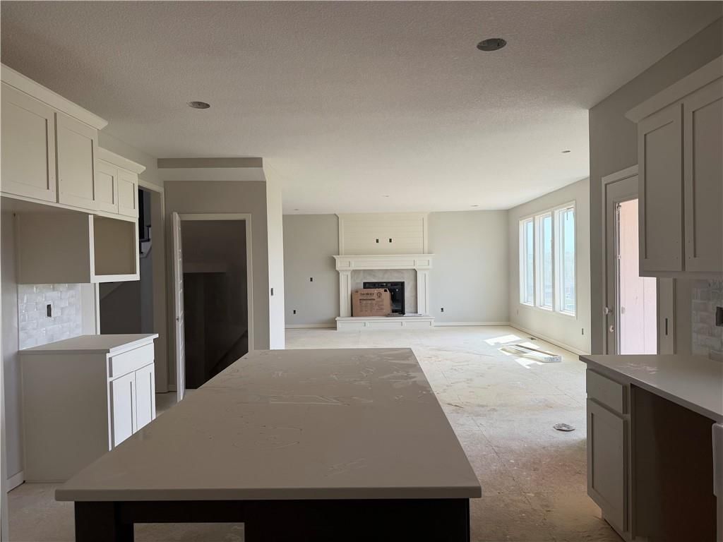 19799 W 114th Place — photo 11