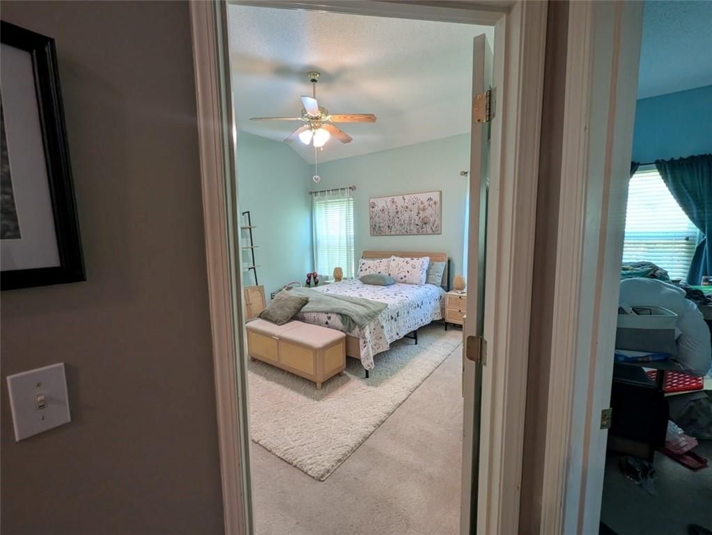 7317 SILVERHEEL Street — photo 11
