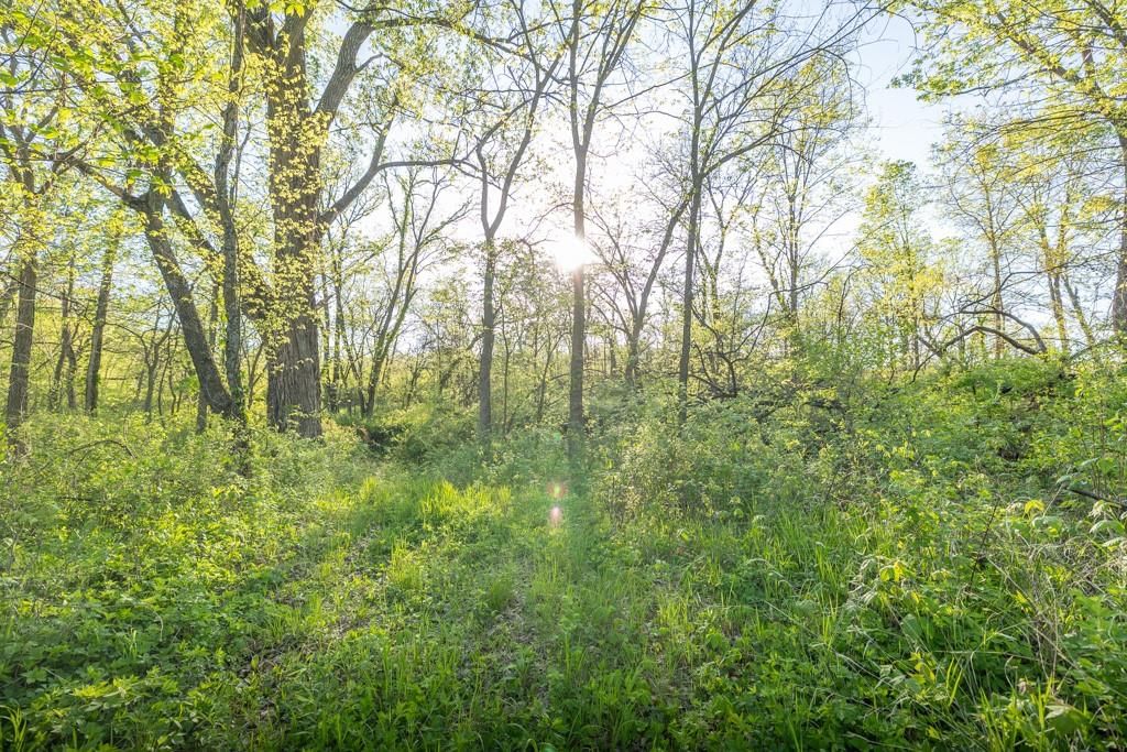 Bunker Hill Road — photo 23